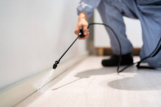 Licensed Pest Control service in Bluff City, TN - Show Me Pest Control